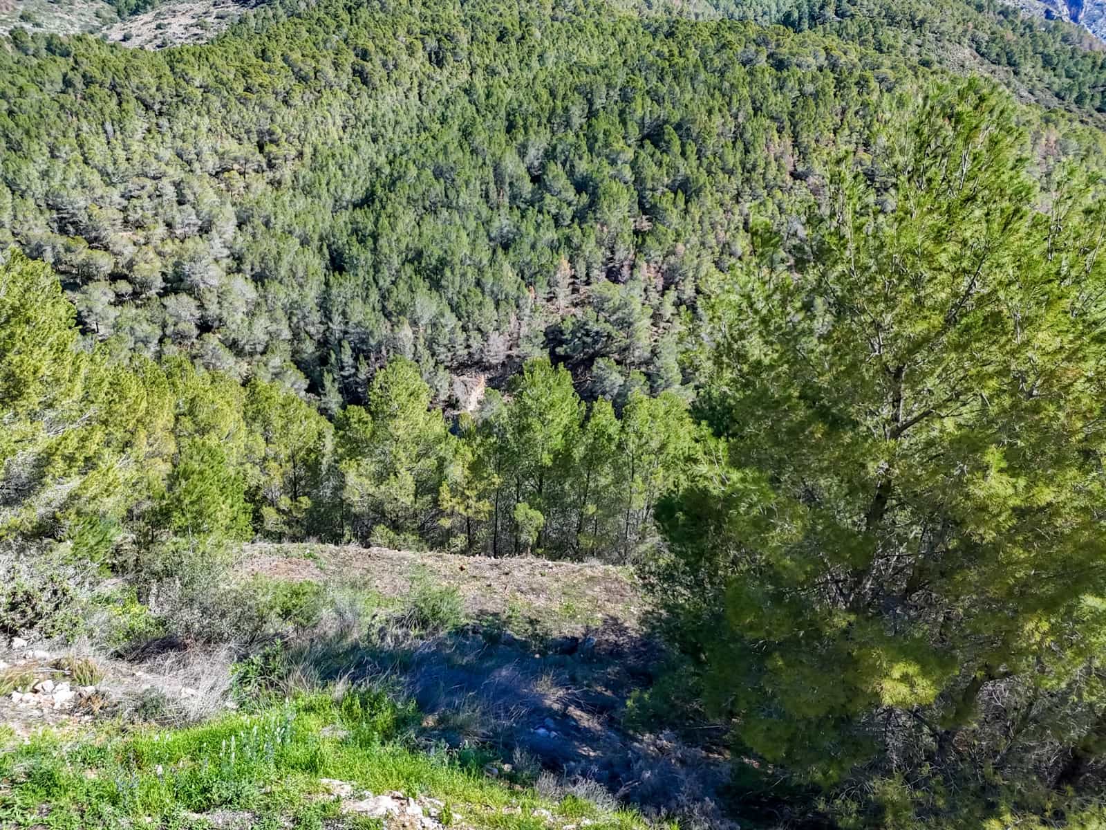Terrain à Bâtir à vendre à Altea - 199 000 € (Ref: 10059637)