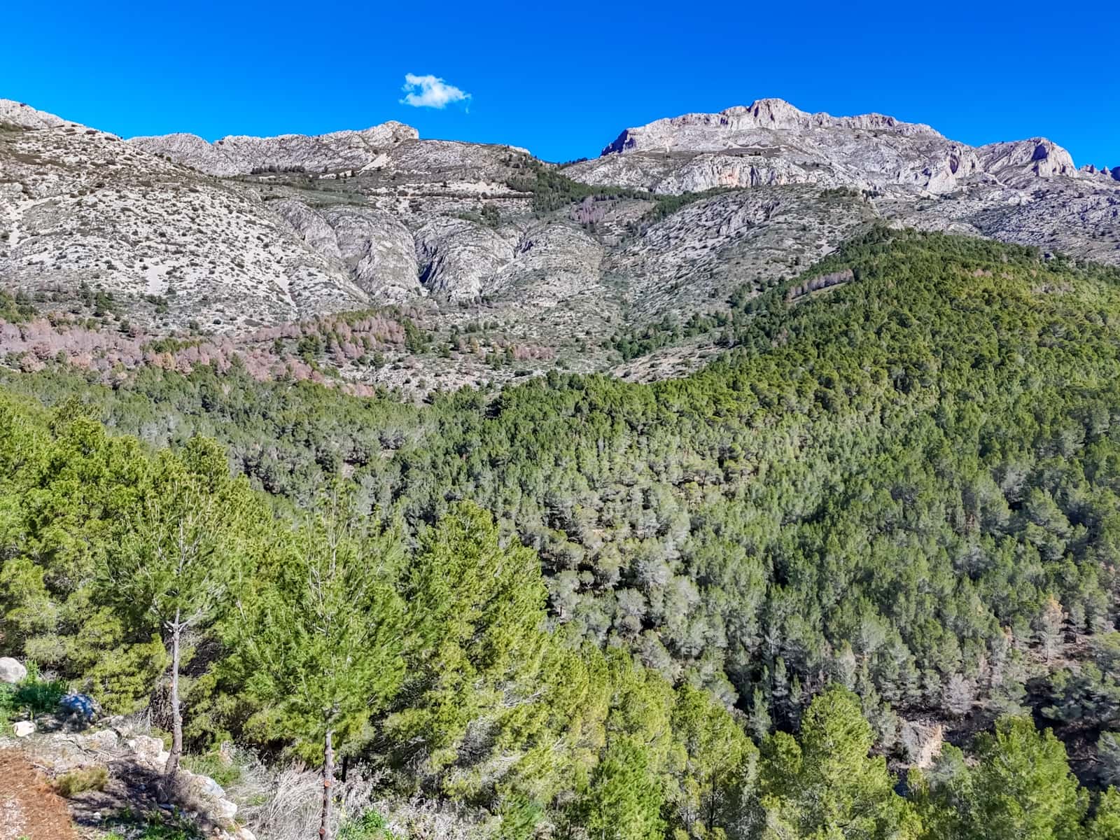 Terrain à Bâtir à vendre à Altea - 199 000 € (Ref: 10059637)