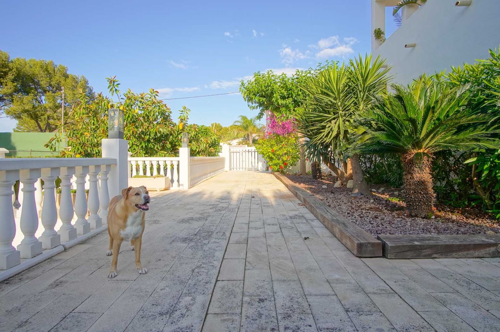 6 bedroom Villa for sale in Denia with pool garage - € 1,060,000 (Ref: 10059672)