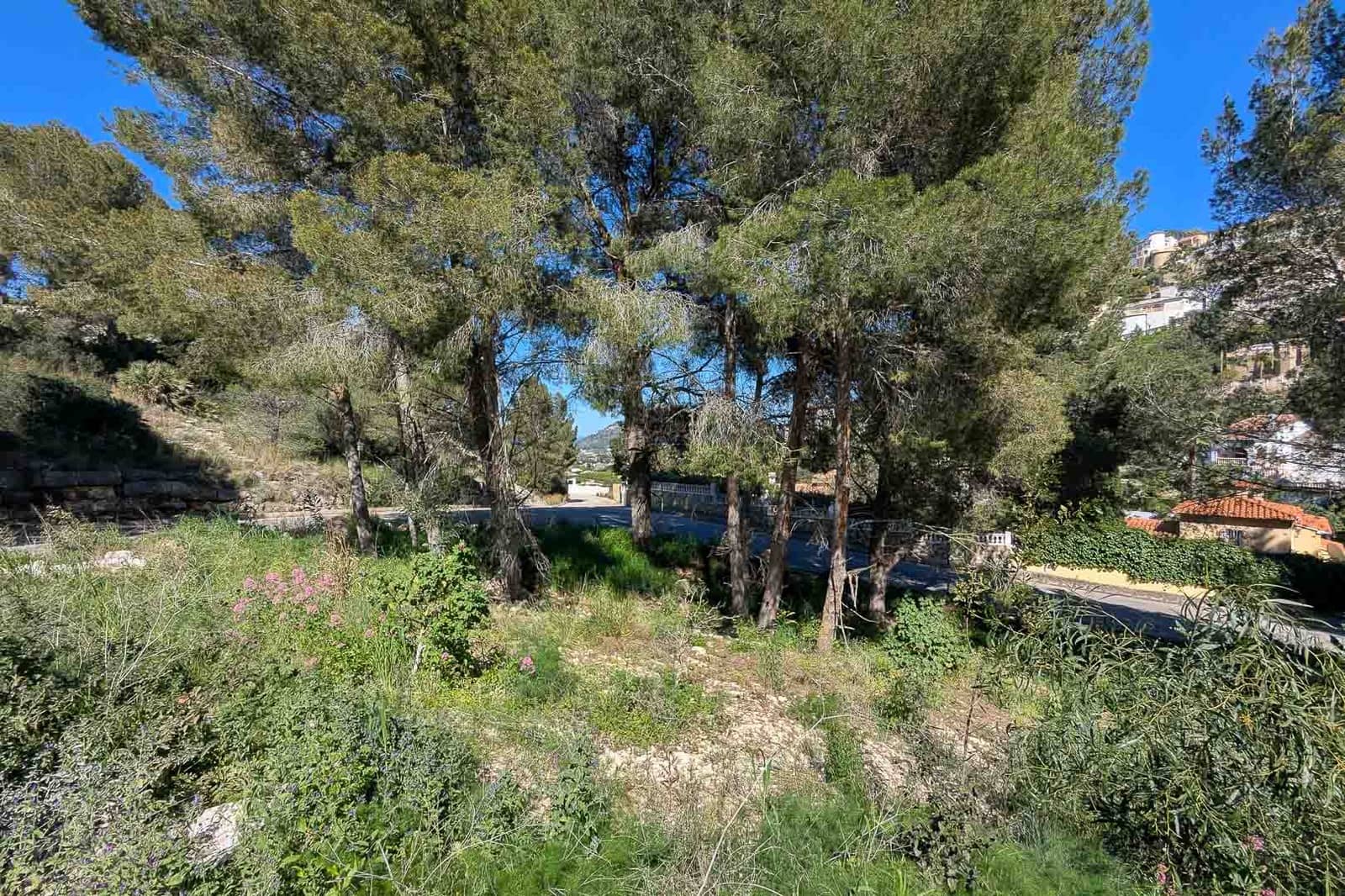 3 sovrum Villa till salu i Monte Solana med pool garage - 529 000 € (Ref: 10059677)