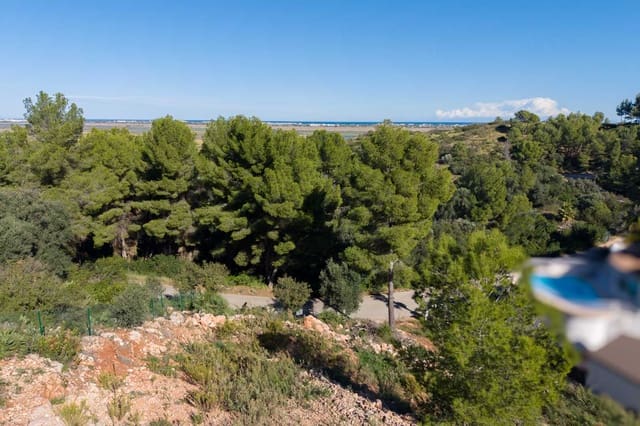Area Edificabile in vendita in Monte Pego, Pego - 58.500 € (Rif: 10059680)