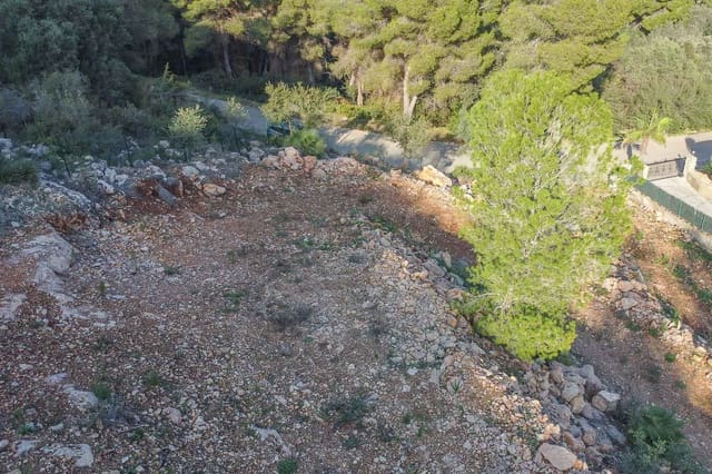 Area Edificabile in vendita in Monte Pego, Pego - 58.500 € (Rif: 10059680)