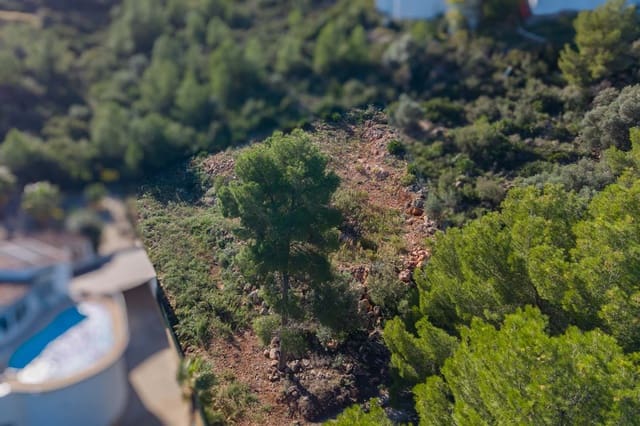 Area Edificabile in vendita in Monte Pego, Pego - 58.500 € (Rif: 10059680)