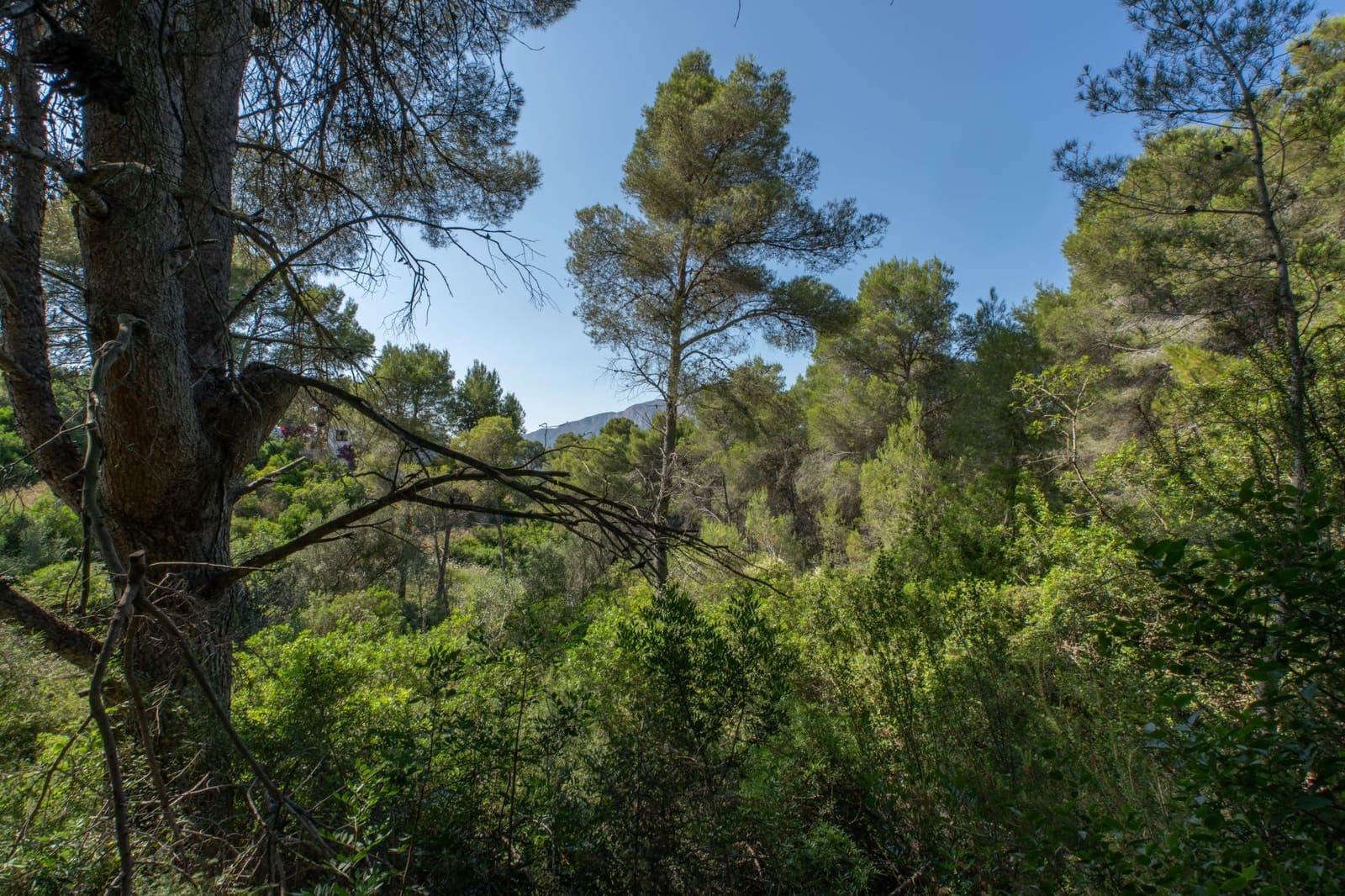 Bouwgrond te koop in Javea / Xabia - € 150.000 (Ref: 10059689)