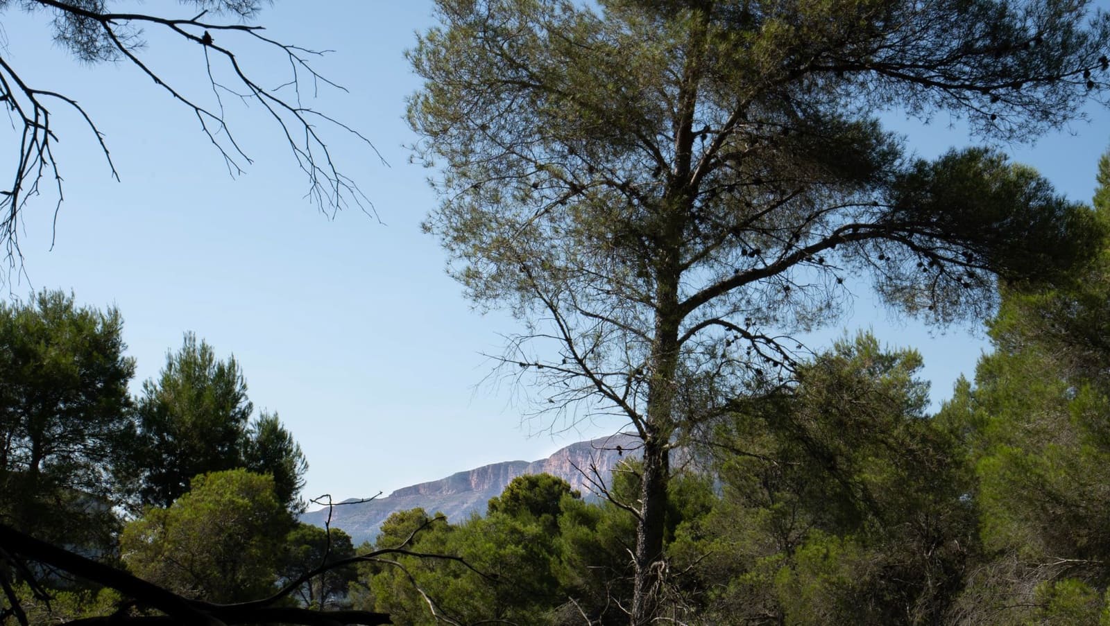 Bouwgrond te koop in Javea / Xabia - € 150.000 (Ref: 10059689)