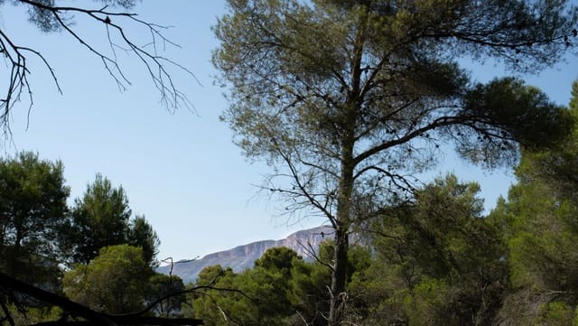 Bouwgrond te koop in Javea / Xàbia - € 150.000 (Ref: 10059689)