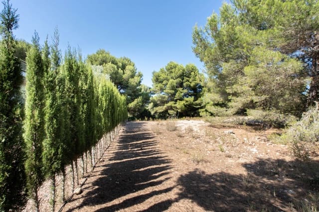 Bauplatz zu verkaufen in Javea / Xàbia - 375.000 € (Ref: 10059690)
