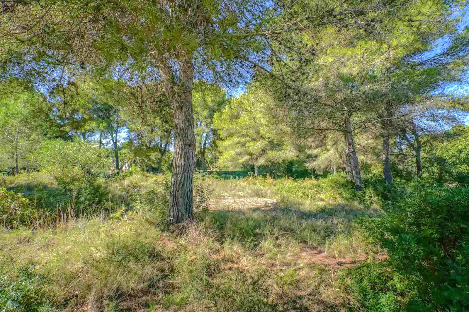 Byggegrund til salg i Javea / Xabia - € 499.000 (Ref: 10059691)