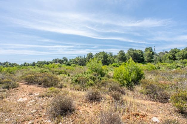Terrain à Bâtir à vendre à Javea / Xàbia - 599 000 € (Ref: 10059815)