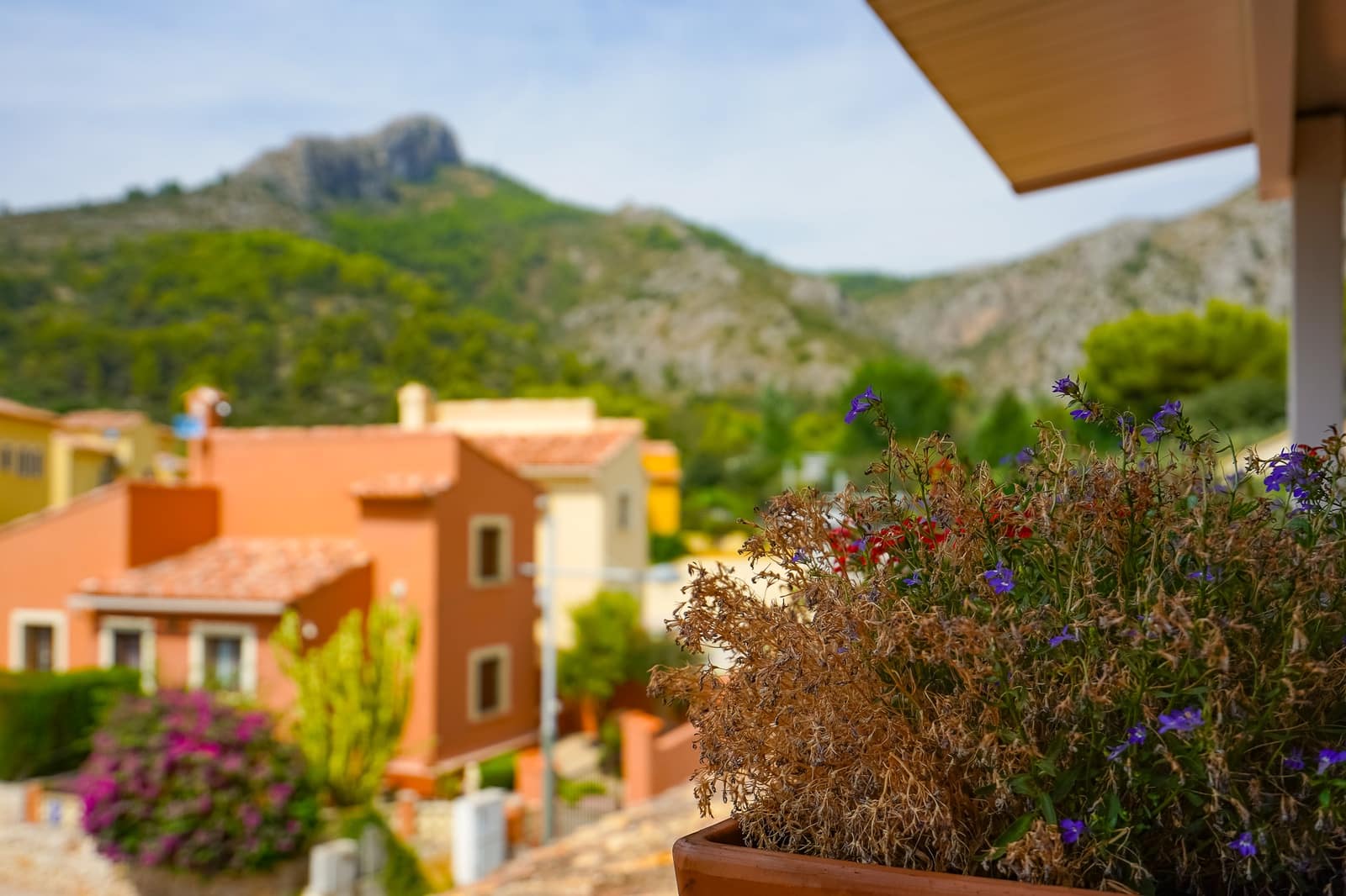 6 soveværelse Erhverv til salg i Sagra - € 569.000 (Ref: 10059824)