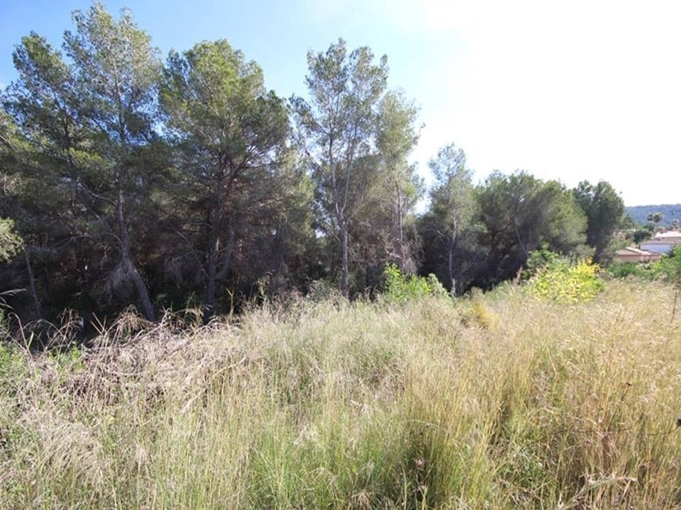 Byggegrund til salg i Pinosol - € 130.000 (Ref: 4231326)