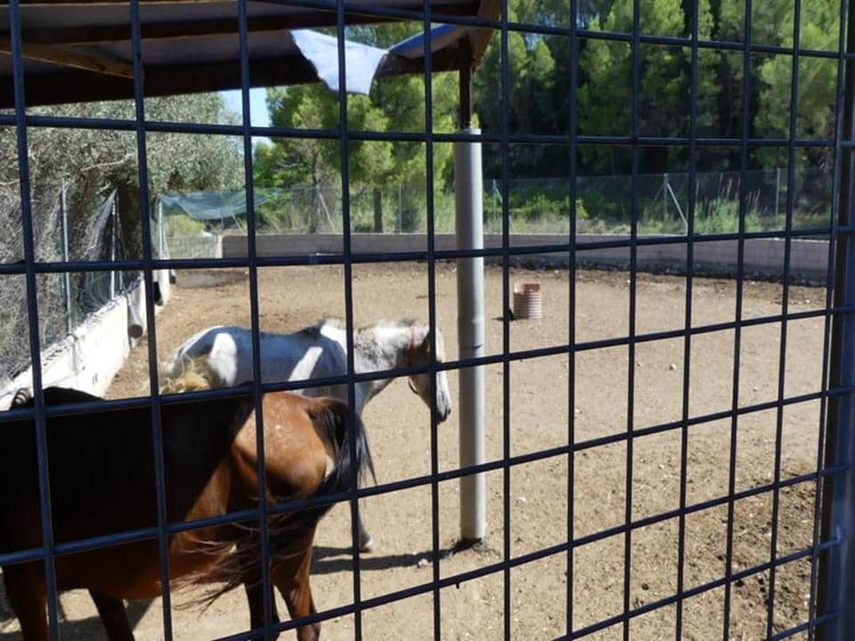 1 sypialnia Willa na sprzedaż w Orba - 195 000 € (Ref: 4349056)