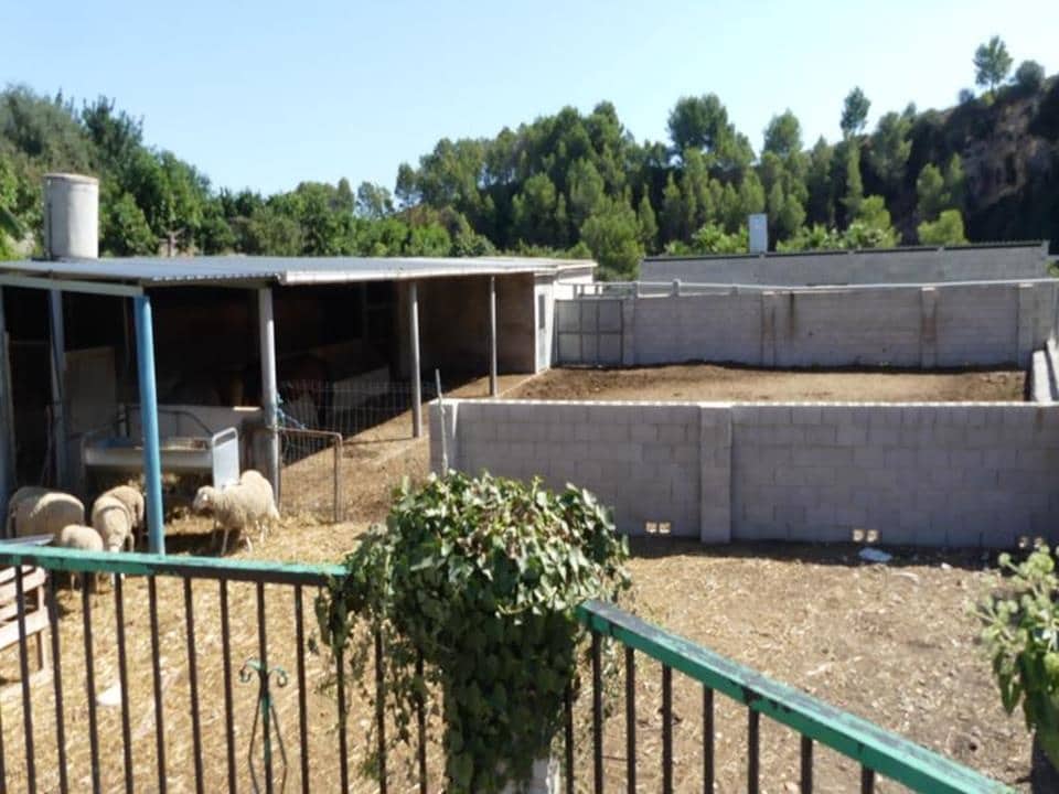 1 sypialnia Willa na sprzedaż w Orba - 195 000 € (Ref: 4349056)