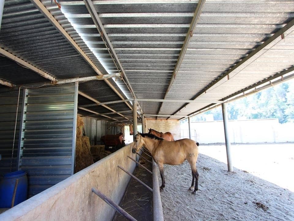 1 sypialnia Willa na sprzedaż w Orba - 195 000 € (Ref: 4349056)