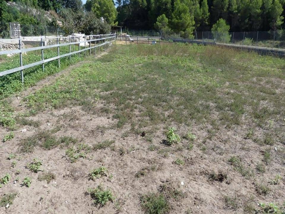 1 sypialnia Willa na sprzedaż w Orba - 195 000 € (Ref: 4349056)