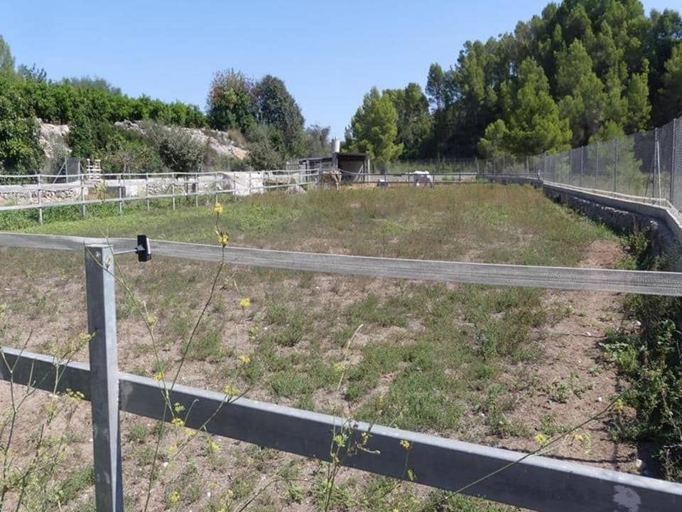 1 sypialnia Willa na sprzedaż w Orba - 195 000 € (Ref: 4349056)