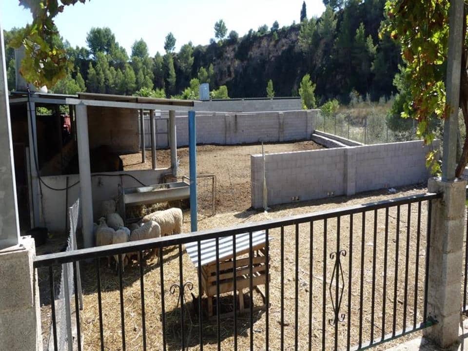 1 sypialnia Willa na sprzedaż w Orba - 195 000 € (Ref: 4349056)