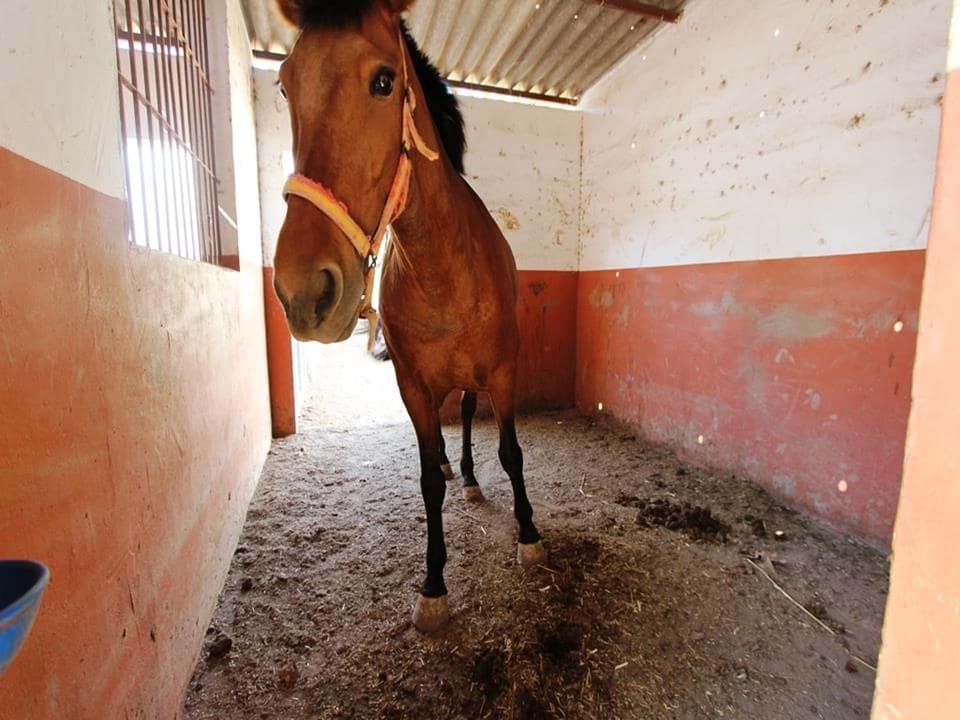 1 sypialnia Willa na sprzedaż w Orba - 195 000 € (Ref: 4349056)