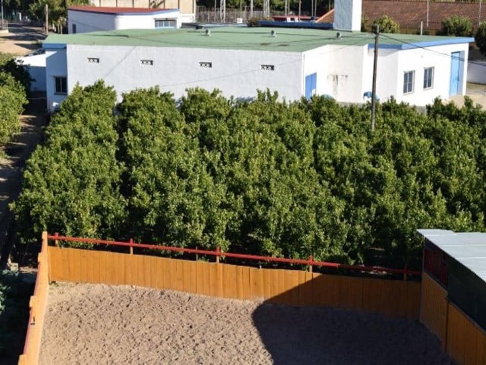 Tomt till salu i Els Poblets - 350 000 € (Ref: 4598290)