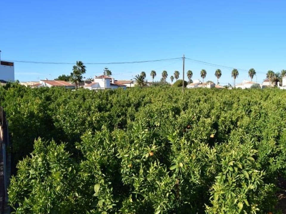 Tomt till salu i Els Poblets - 350 000 € (Ref: 4598290)