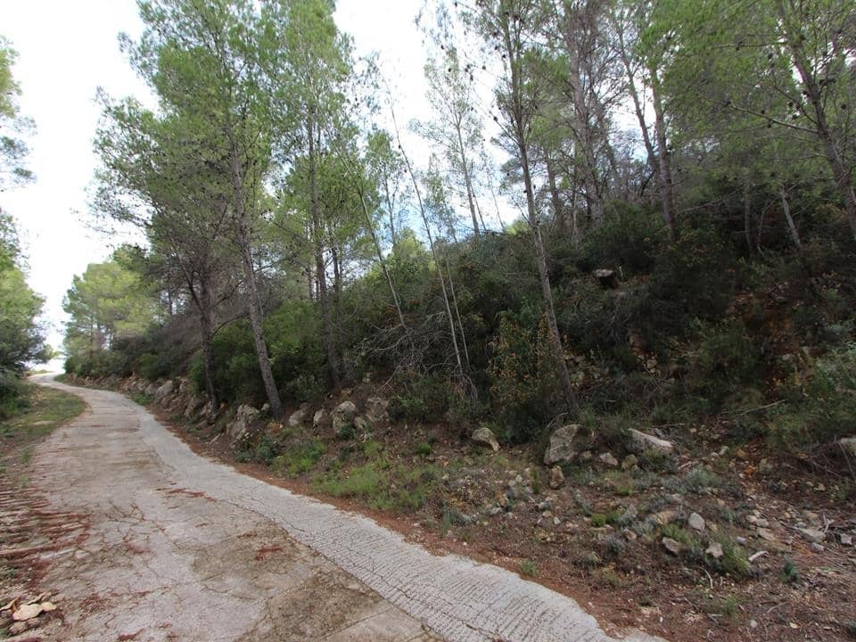 Byggegrund til salg i Benigembla / Benichembla - € 50.000 (Ref: 4866491)