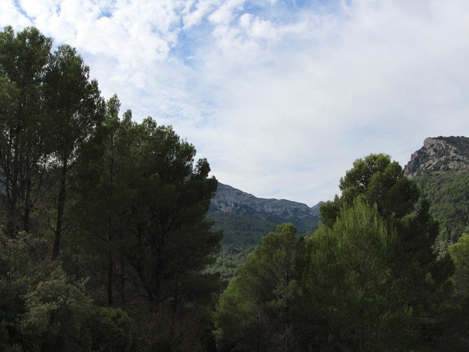 Byggegrund til salg i Benigembla / Benichembla - € 50.000 (Ref: 4866491)