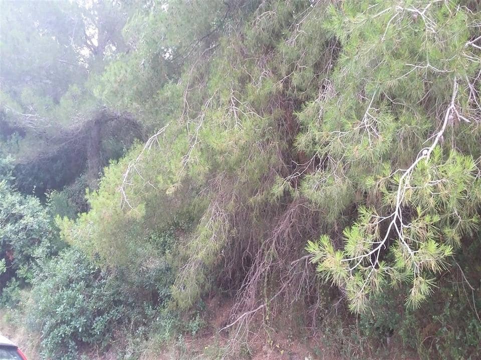 Building Plot for sale in Benitachell / Benitatxell - € 145,000 (Ref: 7287469)