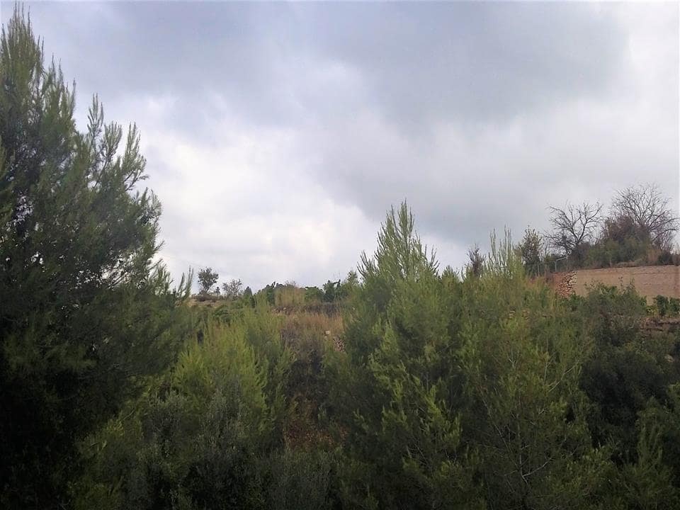 Building Plot for sale in Benitachell / Benitatxell - € 145,000 (Ref: 7287469)