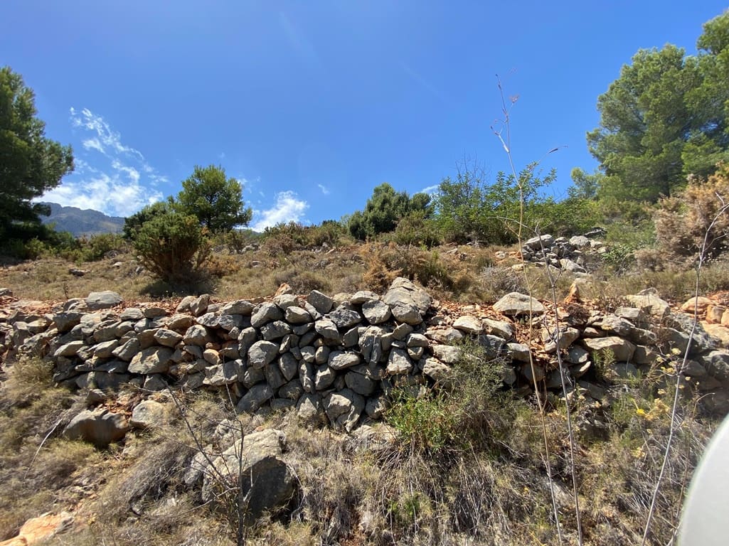 Bouwgrond te koop in Jalon / Xalo - € 315.000 (Ref: 7777727)