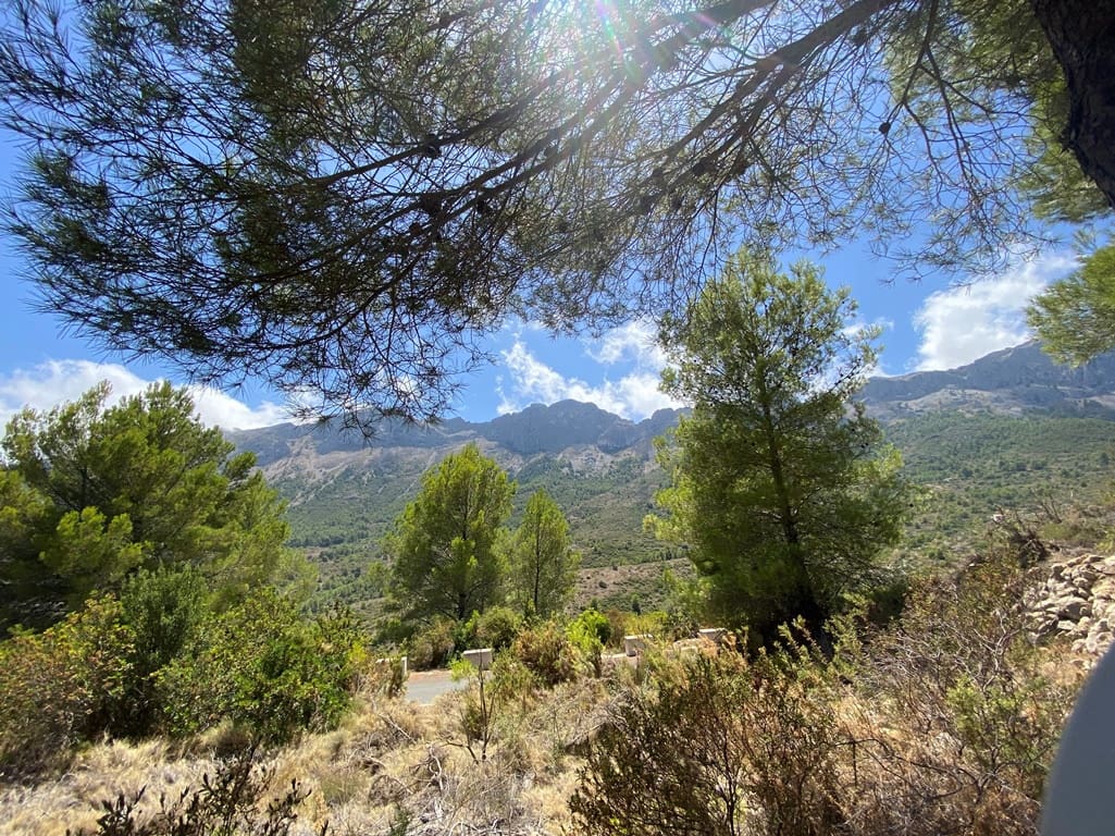 Bouwgrond te koop in Jalon / Xalo - € 315.000 (Ref: 7777727)