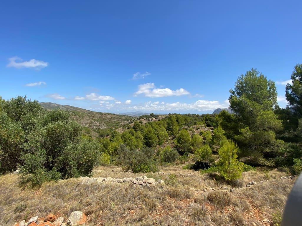 Bouwgrond te koop in Jalon / Xalo - € 315.000 (Ref: 7777727)