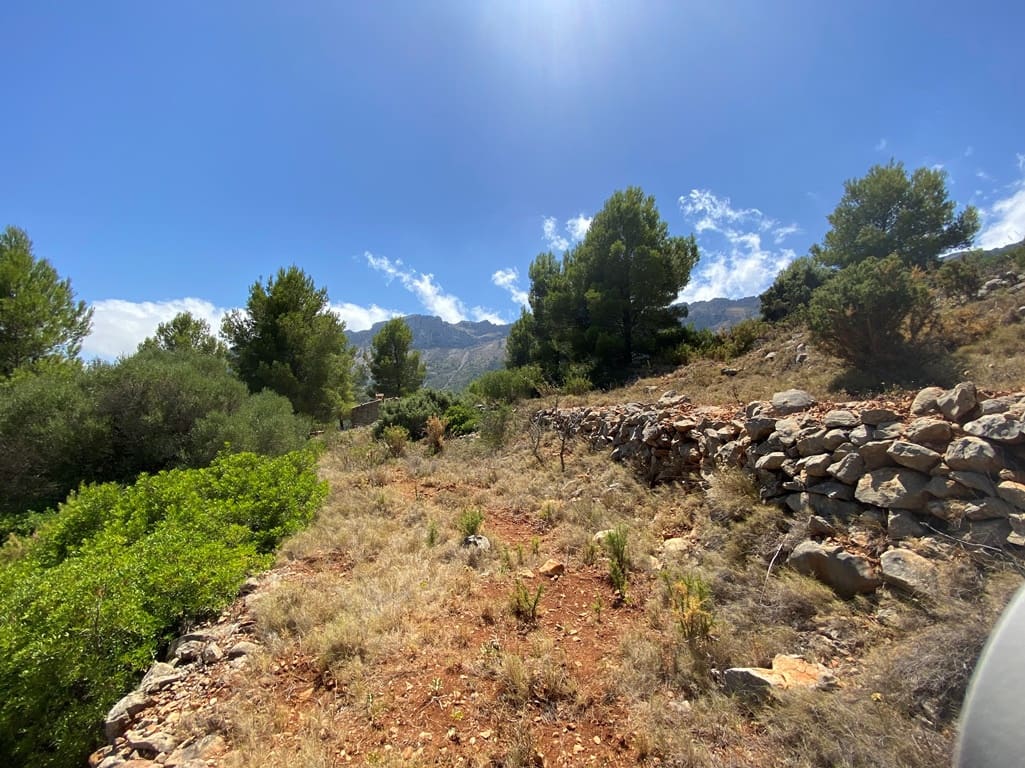 Bouwgrond te koop in Jalon / Xalo - € 315.000 (Ref: 7777727)