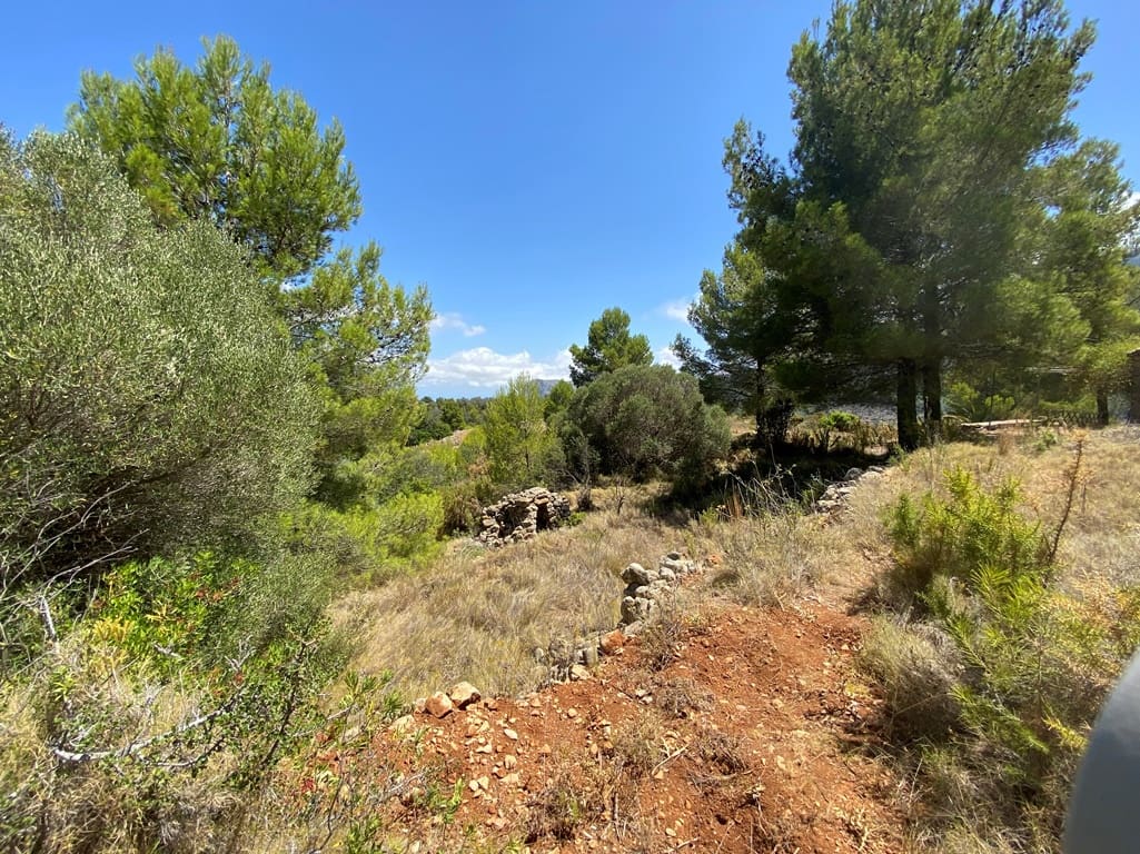 Bouwgrond te koop in Jalon / Xalo - € 315.000 (Ref: 7777727)