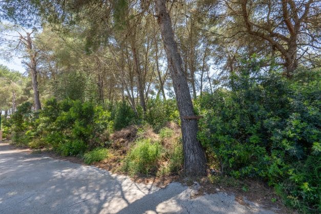 Terrain à Bâtir à vendre à La Granadella  - Costa Nova, Javea / Xàbia - 185 000 € (Ref: 8528747)