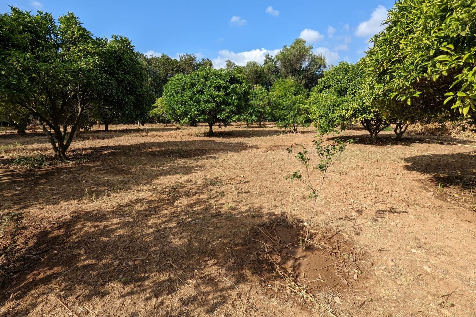 Grunde uden byggetilladelser til salg i Denia - € 585.000 (Ref: 8562610)
