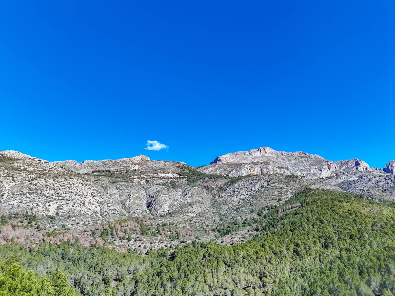 Terrain à Bâtir à vendre à Altea - 145 000 € (Ref: 8945010)