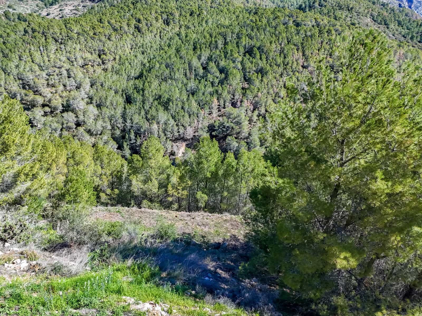 Terrain à Bâtir à vendre à Altea - 145 000 € (Ref: 8945010)
