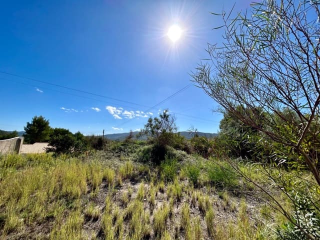 Bouwgrond te koop in Alcalalí / Alcanalí - € 78.000 (Ref: 8945024)