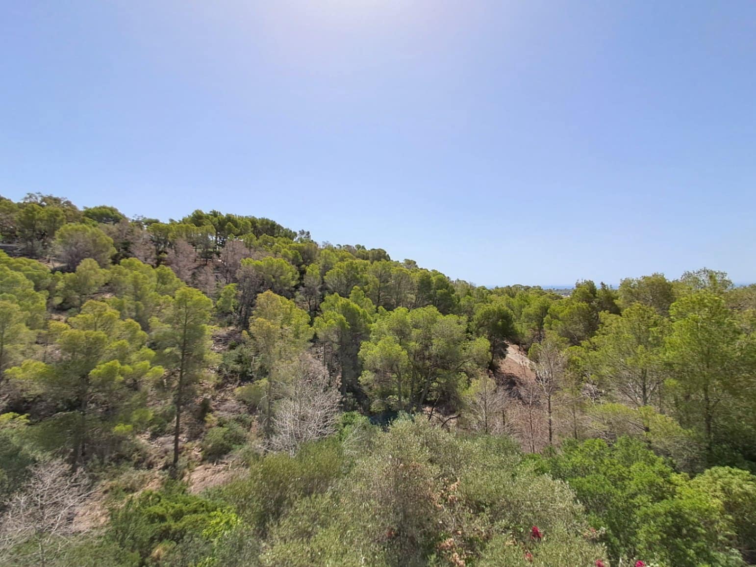 4 bedroom Villa for rent in Alhama Springs with pool garage - € 2,200 (Ref: 9161835)