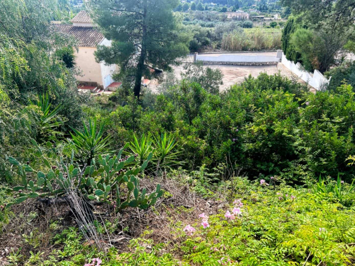 Byggetomt til salgs i Jalon / Xalo - € 120 000 (Ref: 9293841)