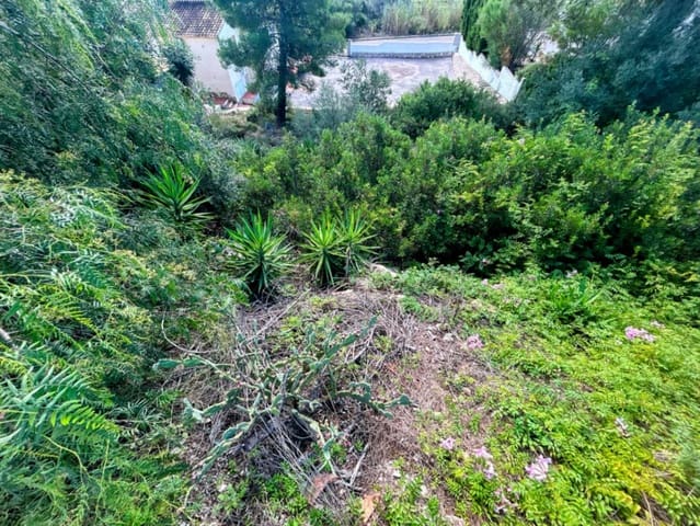 Bouwgrond te koop in Jalón / Xaló - € 120.000 (Ref: 9293841)