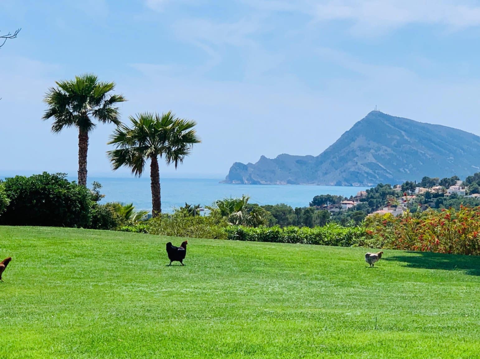 7 slaapkamer Villa te koop in Altea la Vella met zwembad garage - € 3.750.000 (Ref: 9328345)