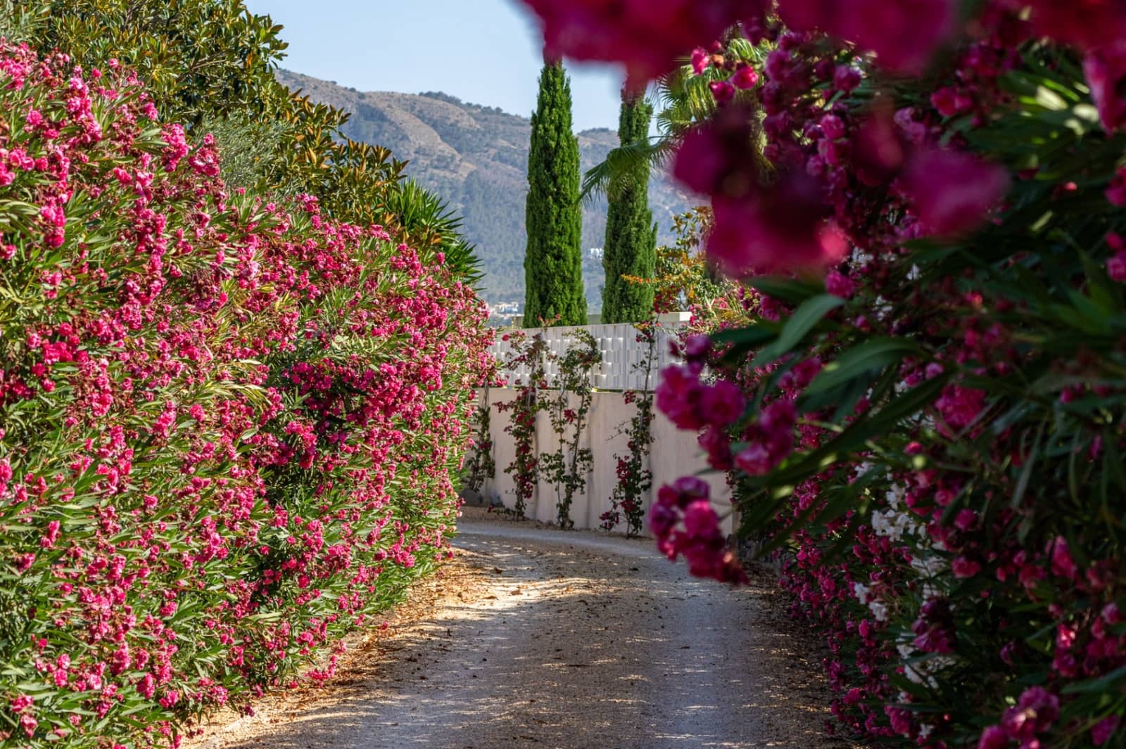 7 bedroom Villa for sale in Altea with pool garage - € 1,370,000 (Ref: 9328395)