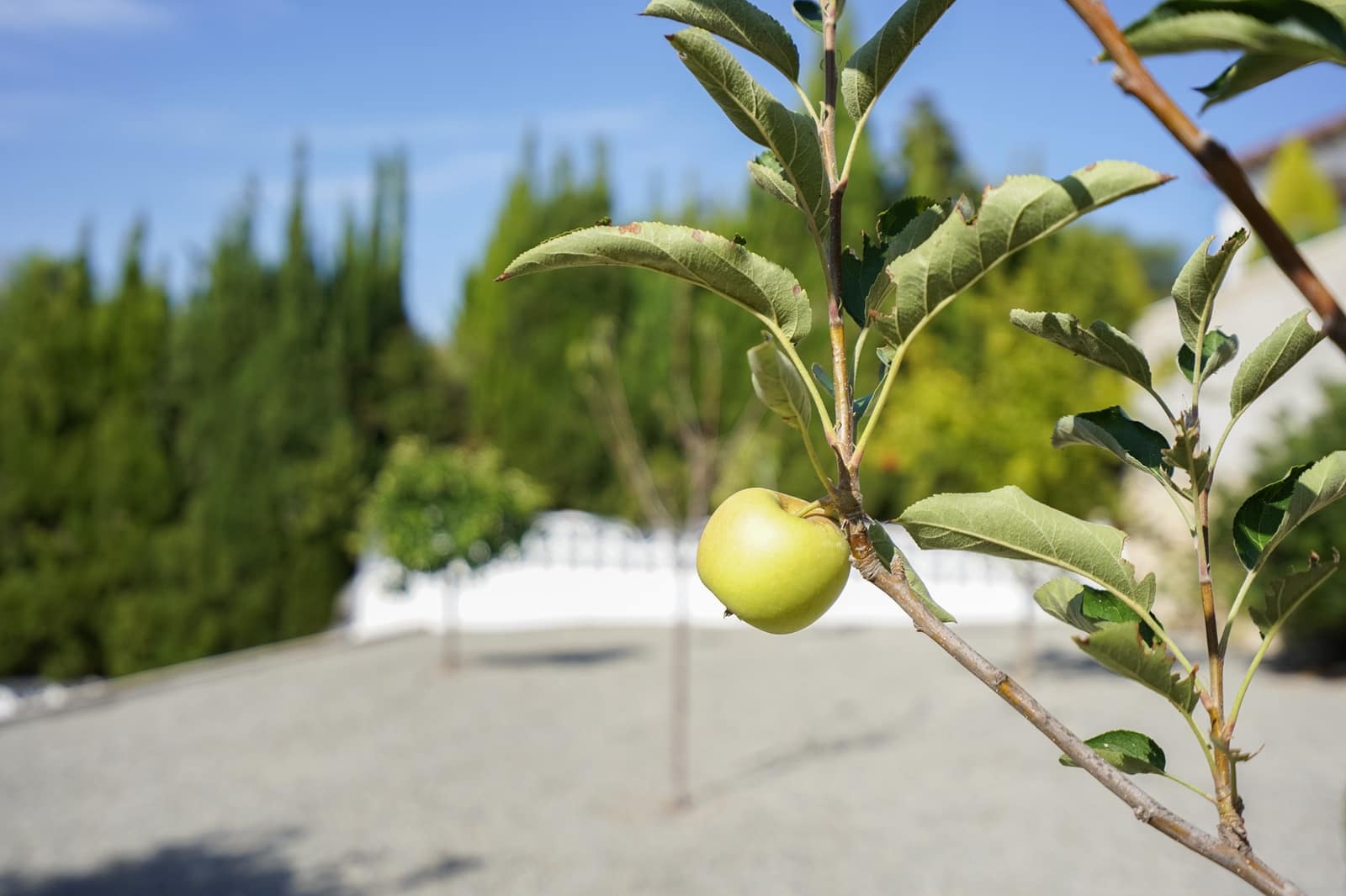 3 slaapkamer Villa te koop in Benissa met zwembad - € 799.000 (Ref: 9349969)