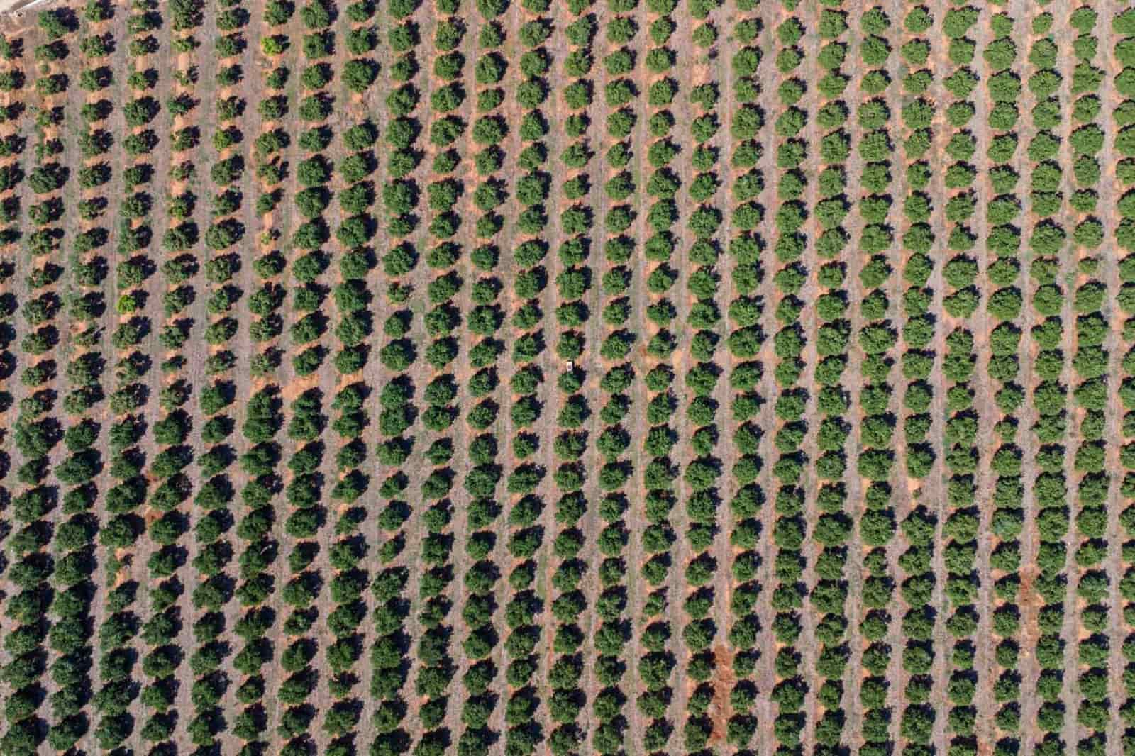 Moradia para venda em Denia com piscina - 680 000 € (Ref: 9349972)