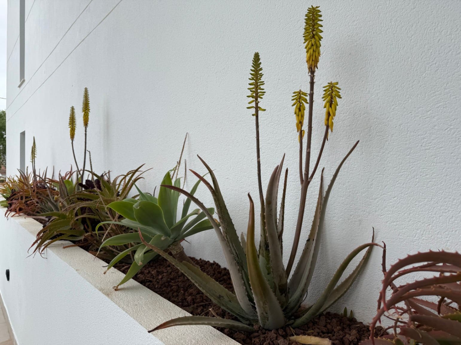 3 camera da letto Appartamento in vendita in Denia - 449.000 € (Rif: 9537467)