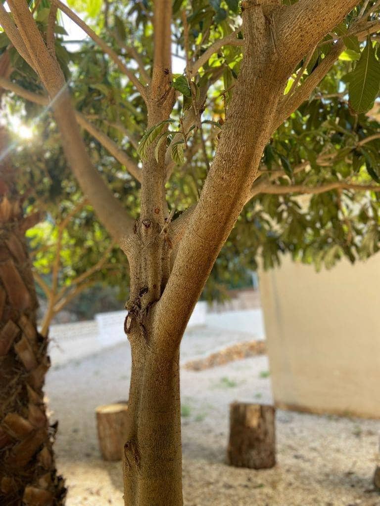 6 sovrum Villa till salu i La Font d'En Carros med pool - 450 000 € (Ref: 9538726)