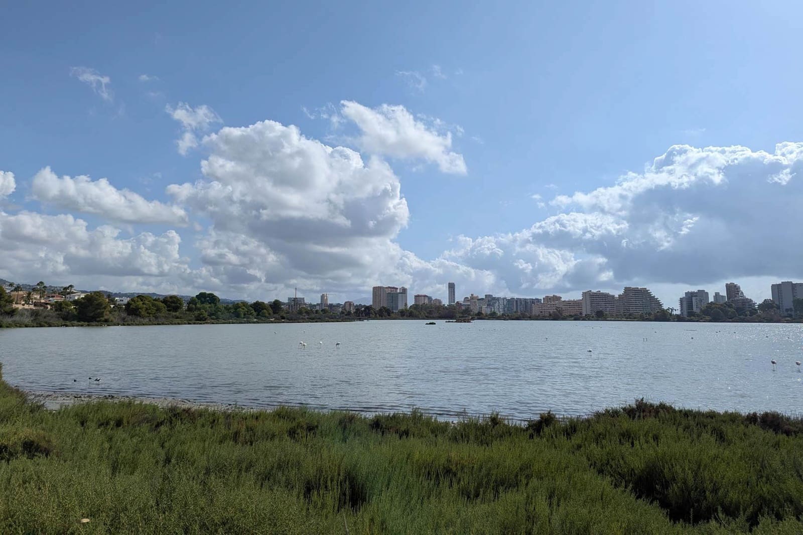 2 chambre Villa/Maison à vendre à Calpe / Calp avec piscine - 470 000 € (Ref: 9584838)