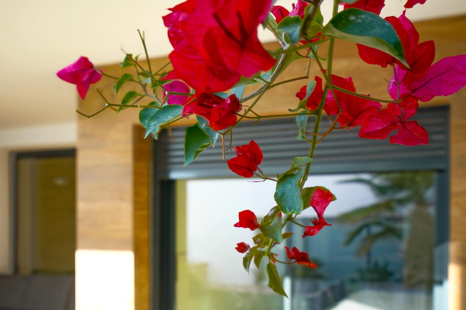 2 slaapkamer Appartement te koop in Cumbre del Sol met zwembad - € 360.000 (Ref: 9584867)