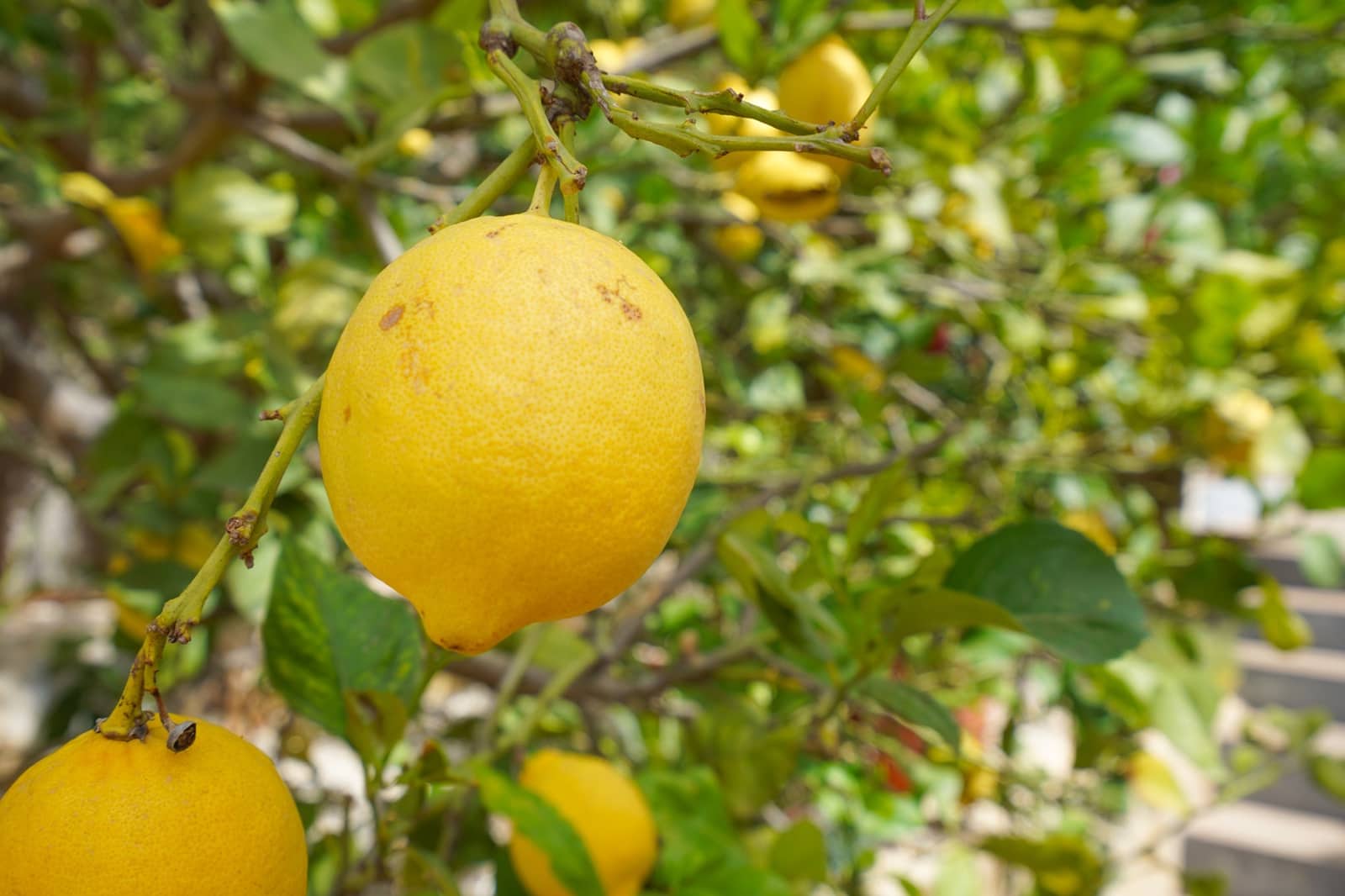 3 soveværelse Villa til salg i Cumbre del Sol med swimmingpool - € 715.000 (Ref: 9584949)